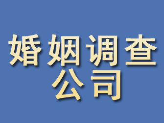 柳城婚姻调查公司